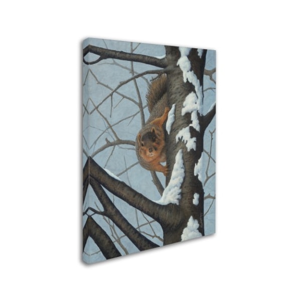 Robert Wavra 'What's Going On - Fox Squirrel' Canvas Art,24x32